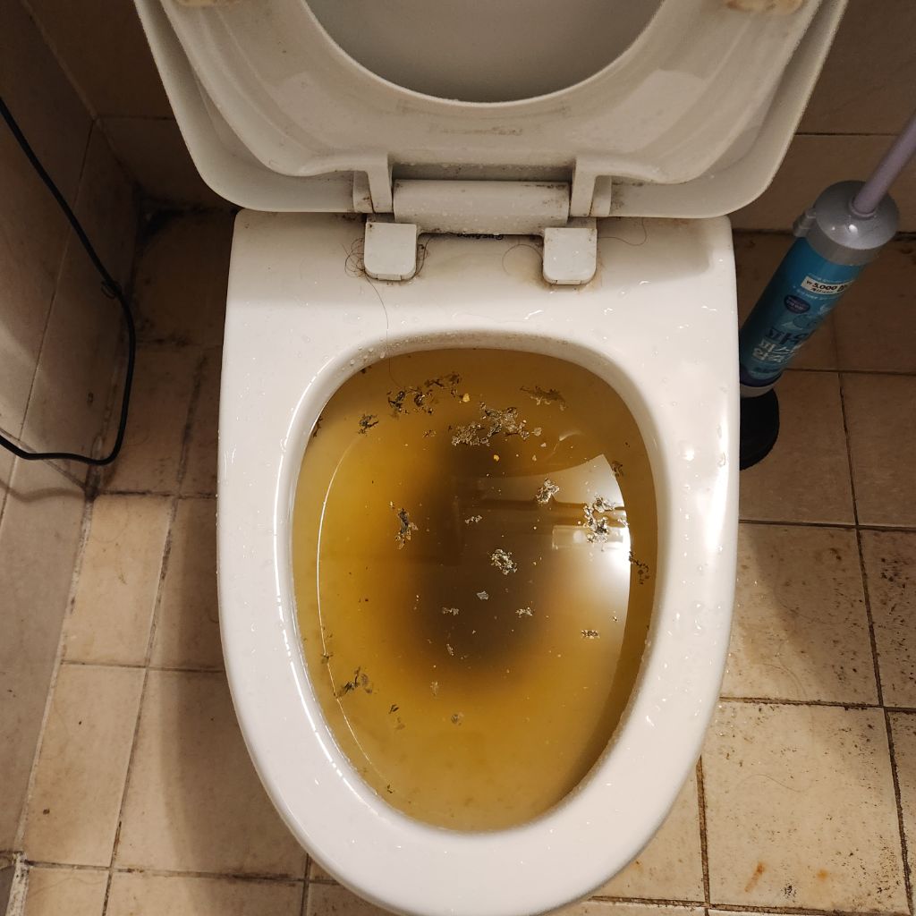 변기 막힘 작업 전