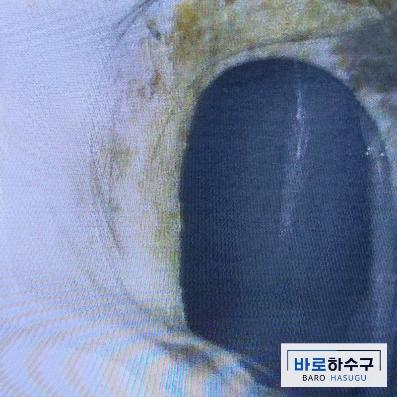 안산 욕실 하수구 배관 벽에 석회가 붙은 내시경 화면