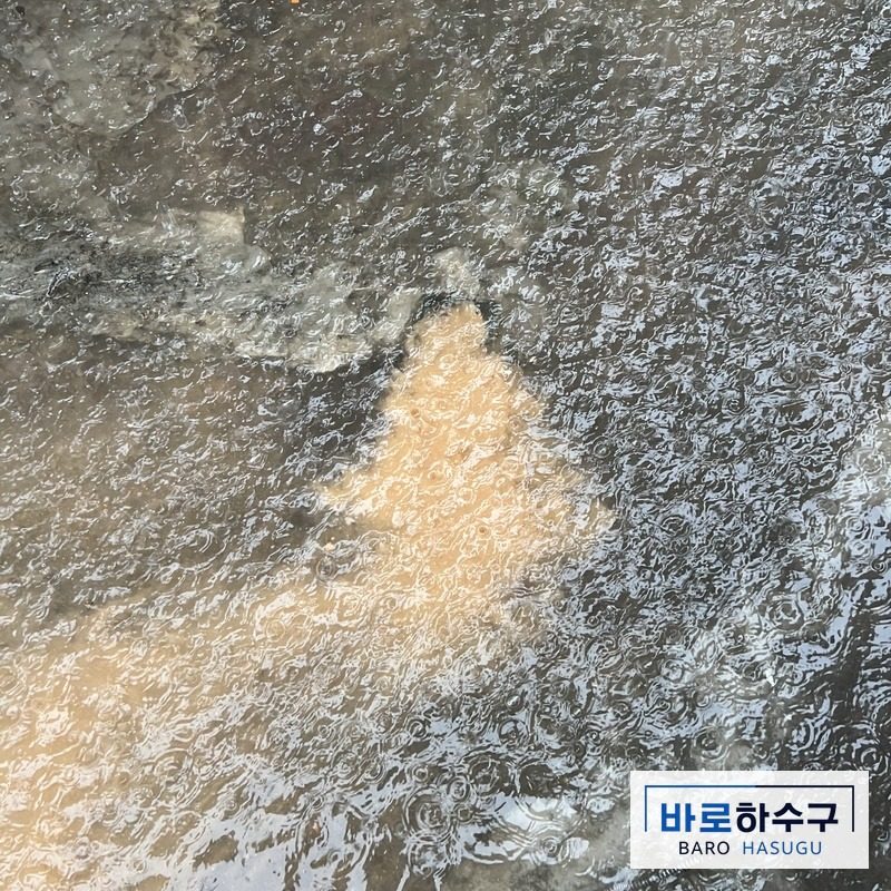 고양 일산동구 현장 바깥 하수구 주변으로 흙탕물이 차오른 바닥