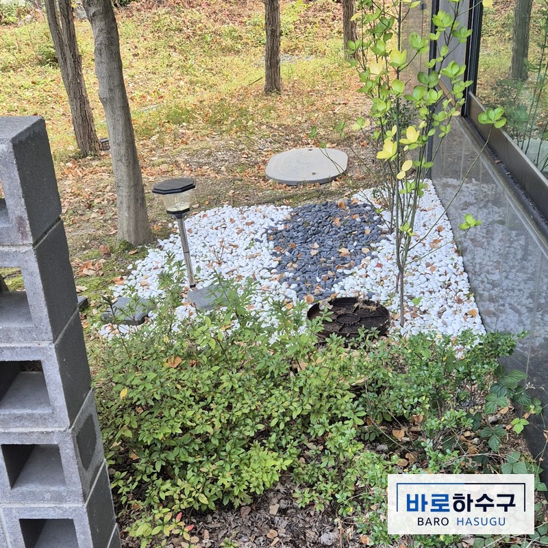 용인 수지구 아파트 화단의 역류한 오수받이, 작업 전