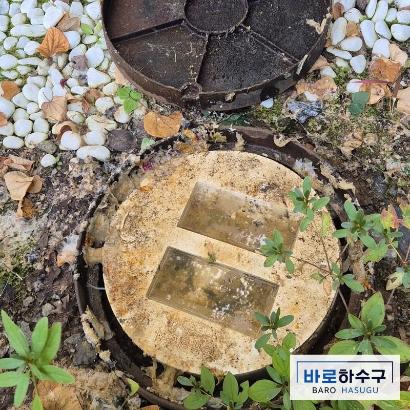 용인 수지구 아파트 화단 오수받이, 역류한 휴지 찌꺼기가 뚜껑에 말라붙은 작업 전 모습